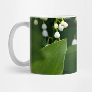 Lillies of the valley in bloom Mug